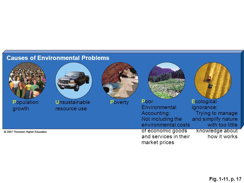 Problems that city causes for people and environment